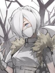 Rule 34 | 1girl, animal ears, arknights, bare tree, blue eyes, fingerless gloves, fur trim, gloves, hair over one eye, hand up, highres, jacket, looking at viewer, mask, mouth mask, official alternate costume, shirayuki (arknights), shirayuki (wind of breaking blade) (arknights), short hair, short sleeves, solo, tree, upper body, weasel ears, white background, white gloves, white hair, white jacket, white mask, xianyudepapi