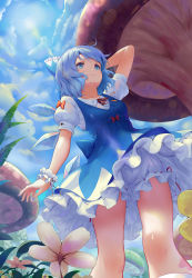 Rule 34 | 1girl, absurdres, bloomers, blue bow, blue dress, blue eyes, blue hair, blue sky, bow, breasts, cirno, cloud, cloudy sky, day, dress, flower, hair bow, highres, ice, ice wings, medium breasts, mushroom, outdoors, puffy short sleeves, puffy sleeves, red bow, red ribbon, revision, ribbon, short dress, short hair, short sleeves, sky, smile, solo, sonikey0 0, sun, touhou, underwear, wings, wrist cuffs