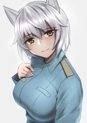 Rule 34 | 1girl, aila paivikki linnamaa, animal ears, blue jacket, dutch angle, eyes visible through hair, grey background, grey hair, hand on own chest, highres, jacket, liar lawyer, looking at viewer, luminous witches, solo, strike witches, uniform, upper body, wolf ears, wolf girl, world witches series, yellow eyes