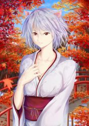 Rule 34 | 1girl, alternate costume, animal ears, autumn, autumn leaves, blue sky, breasts, bridge, cleavage, collarbone, day, hand on own chest, highres, inubashiri momiji, ishii (custard-pudding), japanese clothes, kimono, leaf, light smile, looking at viewer, maple leaf, medium breasts, no headwear, no headwear, obi, parted lips, red eyes, sash, short hair, silver hair, sky, stream, touhou, tree, upper body, water, waterfall, wide sleeves, wolf ears