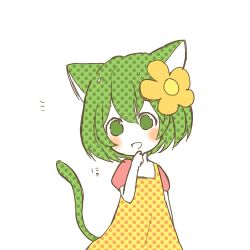 Rule 34 | 1girl, animal ears, blush, cat ears, cat tail, dress, finger to own chin, flower, green eyes, green hair, hair flower, hair ornament, lowres, matching hair/eyes, ntm39, nyan, polka dot, roo-ko (roo&amp;coo), roo &amp; coo, short hair, simple background, solo, tail, white background