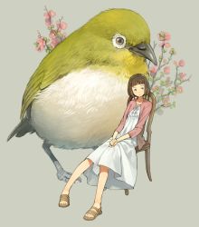 Rule 34 | 1girl, animal, bare legs, bird, brown eyes, brown hair, chair, cherry blossoms, closed mouth, expressionless, eyebrows, grey background, highres, long sleeves, looking away, original, oversized animal, own hands together, sandals, short hair, simple background, sitting, solo, yoshida seiji