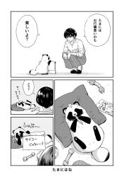Rule 34 | 1girl, ame to kimi to, comic, greyscale, highres, holding, holding sign, leaf, leaf on head, monochrome, nikaidou kou, pants, parted lips, pillow, shirt, short hair, sign, slippers, squatting, tanuki, tanuki (ame to kimi to), translation request