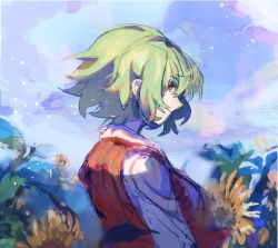 Rule 34 | 1girl, bad id, bad twitter id, closed mouth, cloud, cloudy sky, day, flower, green hair, kazami yuuka, kusariuta, long sleeves, looking back, one-hour drawing challenge, plaid, plaid vest, profile, red eyes, red vest, shirt, short hair, sky, solo, sunflower, sunlight, touhou, upper body, vest, white shirt, yellow flower