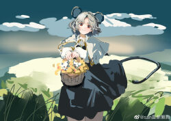 Rule 34 | 1girl, absurdres, animal ears, basket, blush, capelet, chinese commentary, cloud, commentary request, day, dress, feet out of frame, flower, grass, grey dress, grey hair, highres, holding, holding basket, jewelry, long sleeves, looking at viewer, mouse (animal), mouse ears, mouse girl, mouse tail, nazrin, outdoors, pendant, red eyes, sancking (fatekl), shirt, short hair, sky, solo, tail, touhou, weibo logo, weibo watermark, white capelet, white shirt, yellow flower