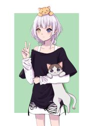 Rule 34 | 1girl, absurdres, animal, animal on head, bang dream!, bang dream! it&#039;s mygo!!!!!, black shirt, blue eyes, border, cat, cat on head, closed mouth, collarbone, commentary request, green background, hami ts, hand up, highres, kaname raana, layered sleeves, long sleeves, medium hair, mixed-language commentary, off shoulder, on head, outside border, partial commentary, shirt, short over long sleeves, short sleeves, solo, thai commentary, v, white border, white hair, white shirt, yellow eyes