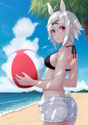 Rule 34 | 1girl, absurdres, animal ears, ball, beach, beachball, bikini, bikini top only, black bikini, blue sky, blurry, blurry background, breasts, chestnut mouth, cloud, commentary request, day, depth of field, fingernails, hair between eyes, hair ornament, hairclip, halterneck, highres, holding, holding ball, horizon, looking at viewer, medium breasts, mountain, ocean, ochiai miyabi, original, outdoors, palm tree, parted lips, rabbit ears, rabbit girl, rabbit tail, red eyes, sand, short shorts, shorts, silver hair, sky, solo, standing, swimsuit, tail, teeth, transparent, tree, upper teeth only, water, white shorts