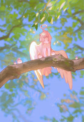 Rule 34 | 1girl, absurdres, bird girl, bird tail, bird wings, blue sky, blurry, branch, closed eyes, colored skin, creature, dated, depth of field, eromkk, facing viewer, full body, halo, highres, in tree, knees up, leaf, light particles, medium hair, mini person, minigirl, monster girl, original, outdoors, pink hair, pink skin, signature, sitting, sky, solo, sparkle, tail, tree, twitter username, winged arms, wings