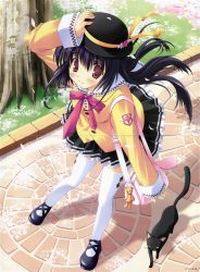 Rule 34 | 1girl, black cat, cat, crease, hat, ikegami akane, ribbon, school uniform, serafuku, skirt, solo, thighhighs, uniform, wind