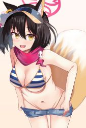 Rule 34 | absurdres, animal ears, aventador, bikini, blue archive, breasts, cleavage, clothes pull, collarbone, commentary request, fang, flower, fox ears, fox tail, hair between eyes, halo, hat, hat flower, highres, izuna (blue archive), izuna (swimsuit) (blue archive), looking at viewer, medium breasts, navel, pin, shorts, shorts pull, simple background, solo, striped bikini, striped clothes, sunflower, sweatdrop, swimsuit, tail, underboob, undressing, visor cap, white background