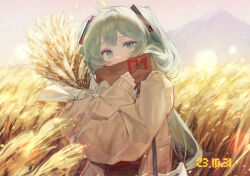 Rule 34 | 1girl, absurdres, autumn, blue eyes, blue hair, blurry, bokeh, commentary, covered mouth, dated, depth of field, enpera, hair ornament, hatsune miku, highres, holding, holding plant, jacket, long hair, long sleeves, looking at viewer, mihoranran, outdoors, plant, scarf, sleeves past wrists, solo, sunlight, twintails, upper body, very long hair, vocaloid, wheat, wheat field