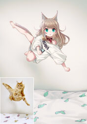 Rule 34 | 1girl, 40hara, animal ears, animal print, barefoot, bed, blonde hair, blunt bangs, cat, cat ears, cat girl, cat tail, collar, commentary request, fish print, flipped hair, green eyes, highres, indoors, kinako (40hara), light blush, long hair, looking at viewer, midair, open mouth, orange cat, original, outstretched leg, oversized clothes, oversized shirt, photo-referenced, photo inset, red collar, reference inset, shirt, short sleeves, sidelocks, solo, tail, triangle mouth, white shirt