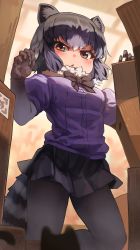 Rule 34 | animal ears, black bow, black bowtie, black pantyhose, black skirt, blue sweater, blush, bow, bowtie, box, brown eyes, cardboard box, commentary request, common raccoon (kemono friends), elbow gloves, from below, fur collar, gloves, grey gloves, grey hair, highres, japari symbol, kemono friends, looking at viewer, melaton, multicolored hair, pantyhose, pleated skirt, puffy short sleeves, puffy sleeves, raccoon ears, raccoon girl, raccoon tail, short hair, short sleeves, skirt, solo, sweater, tail, white hair
