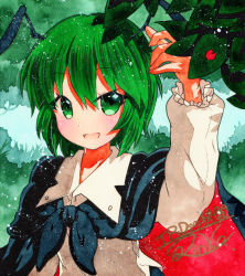Rule 34 | 1girl, antennae, arm up, bad id, bad pixiv id, black cape, buttons, cape, collarbone, collared shirt, dress shirt, green background, green eyes, green hair, green theme, hair between eyes, leaf, long sleeves, looking at viewer, outdoors, qqqrinkappp, shikishi, shirt, short hair, signature, solo, touhou, traditional media, upper body, white shirt, wriggle nightbug