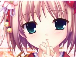 Rule 34 | 1girl, blue eyes, blush, brown hair, close-up, flower, fujisaki rei, hair flower, hair ornament, short hair, solo, wallpaper