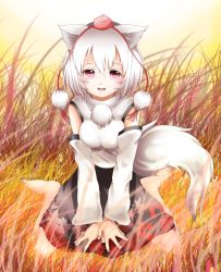 Rule 34 | 1girl, animal ears, bad id, bad pixiv id, barefoot, blush, breasts, chikuwa savy, detached sleeves, happy, hat, inubashiri momiji, looking at viewer, medium breasts, open mouth, pom pom (clothes), red eyes, short hair, silver hair, sitting, skirt, smile, solo, tail, tokin hat, touhou, v arms, wariza, wolf ears, wolf tail