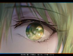 Rule 34 | 1boy, 1other, blonde hair, close-up, enkidu (fate), eye focus, eye reflection, fate/grand order, fate (series), from side, gilgamesh (fate), green eyes, green hair, hair between eyes, letterboxed, looking at another, looking at viewer, nanako (user zcmj5835), reflection, tears, translation request