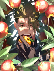 Rule 34 | 1boy, absurdres, achilles (fate), apple, apple juice, bitten apple, black shirt, branch, brown eyes, fate/apocrypha, fate (series), food, food bite, fruit, golden apple, haruakira, highres, holding, holding food, holding fruit, imminent bite, juice, leaf, male focus, red apple, ribbed shirt, shirt, short hair, solo, teeth, undercut, upper teeth only