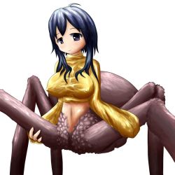 Rule 34 | arachne, arthropod girl, blue hair, breasts, covered erect nipples, insect girl, large breasts, long hair, midriff, monster girl, navel, purple eyes, simple background, smile, spider girl, taur