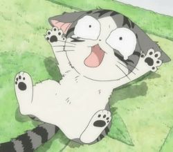 Rule 34 | animated, animated gif, cat, chi&#039;s sweet home, chi (character), screencap, trembling