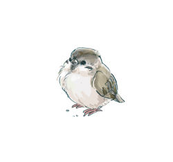 Rule 34 | animal, animal focus, bird, lowres, monoyuu, no humans, original, simple background, solo, sparrow, standing, white background