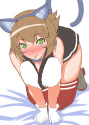 Rule 34 | 10s, 1girl, :p, all fours, animal ears, blush, breasts, brown hair, cat ears, cat tail, collar, gloves, highres, kantai collection, looking at viewer, mizuse kouichi, mutsu (kancolle), personification, red thighhighs, short hair, sketch, skirt, solo, tail, thighhighs, tongue, tongue out, white gloves