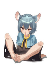 Rule 34 | 1girl, absurdres, animal ears, barefoot, blush, feet, highres, looking at viewer, medium hair, mouse ears, nazrin, open mouth, red eyes, soles, toes, touhou