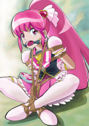 Rule 34 | 10s, 1girl, aino megumi, ball gag, bdsm, bondage, bound, cure lovely, gag, gagged, happinesscharge precure!, pink eyes, pink hair, ponytail, precure, rope, shibari