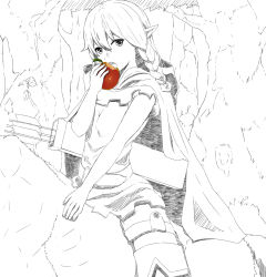 Rule 34 | 1girl, apple, arrow (projectile), bad id, bad pixiv id, belt, boots, braid, cloak, dragon&#039;s crown, eating, elf, elf (dragon&#039;s crown), food, fruit, gloves, greyscale, highres, hood, hood down, horse, long hair, looking at viewer, momokurianzu, monochrome, pointy ears, quiver, red apple, riding, shorts, solo, thigh boots, thighhighs, twin braids