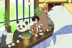 Rule 34 | bear, bird, black hair, bowl, character request, choko (20040421), cup, glass, kamiya hiroshi, levi (shingeki no kyojin), panda, panda (shirokuma cafe), penguin, penguin (shirokuma cafe), polar bear, scarf, voice actor connection, shingeki no kyojin, shirokuma (shirokuma cafe), shirokuma cafe, short hair, teacup