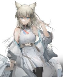 Rule 34 | 1girl, absurdres, animal ears, arknights, arknights: endfield, bare shoulders, bird ears, black pantyhose, blue eyes, closed mouth, commentary request, cowboy shot, dress, grey hair, hand up, highres, jacket, long hair, looking at viewer, off shoulder, open clothes, open jacket, pantyhose, perlica (arknights), simple background, sketch, skolly, sleeveless, sleeveless dress, smile, solo, white background, white dress, white jacket