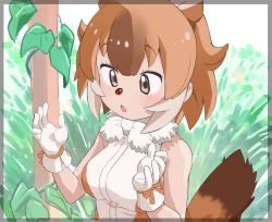 Rule 34 | 1girl, animal ears, bare shoulders, blush, brown hair, brown shirt, bug, commentary, cross-eyed, dhole (kemono friends), dog ears, dog girl, dog tail, extra ears, fanta (the banana pistols), gloves, grass, hair between eyes, highres, insect, kemono friends, ladybug, leaf, light brown hair, multicolored hair, plant, shirt, sleeveless, solo, symbol-only commentary, tail, two-tone shirt, vines, white gloves, white hair