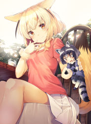 Rule 34 | 10s, 2girls, absurdres, animal ears, animal ears (norankkori), blonde hair, blue hair, bow, bowtie, commentary request, common raccoon (kemono friends), elbow gloves, fennec (kemono friends), fox ears, fox tail, fur collar, fur trim, gloves, highres, holding person, kemono friends, mini person, minigirl, multicolored hair, multiple girls, pantyhose, pleated skirt, puffy short sleeves, puffy sleeves, raccoon ears, raccoon tail, short hair, short sleeves, sitting, size difference, skirt, sweatdrop, sweater, tail, thighhighs, wavy mouth
