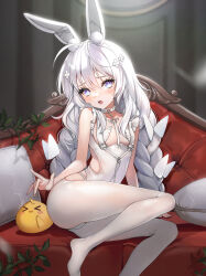 Rule 34 | 1girl, ahoge, animal ear fluff, animal ears, ass, azur lane, blue eyes, blush, braid, breasts, commentary, couch, crotchless, crotchless pantyhose, fake animal ears, feet, highleg, highleg leotard, highres, knee up, le malin (azur lane), le malin (listless lapin) (azur lane), leotard, long hair, manjuu (azur lane), momuru, no shoes, official alternate costume, open mouth, pantyhose, playboy bunny, rabbit ears, sitting, small breasts, thighs, twin braids, twintails, very long hair, white hair, white leotard, white pantyhose