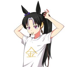 Rule 34 | 1girl, animal ears, arms up, black hair, bow, casual, clothes writing, commentary request, ear bow, fukuro (maruaru00), genderswap, genderswap (mtf), headgear, highres, horse ears, horse girl, kanji focus, light purple hair, long hair, multicolored hair, original, personification, ponytail, purple bow, purple eyes, reins, shirt, short sleeves, simple background, solo, stay gold (racehorse), t-shirt, two-tone hair, tying hair, umamusume, upper body, white background, white shirt