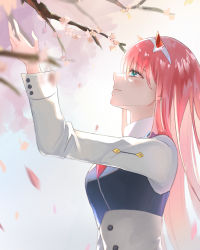 Rule 34 | 1girl, absurdres, aqua eyes, blurry, blurry foreground, blush, closed mouth, darling in the franxx, flower, from side, hair between eyes, hairband, highres, hiyo (pixiv31594891), horns, jacket, long hair, long sleeves, looking up, petals, pink flower, pink hair, smile, solo, spring (season), straight hair, upper body, very long hair, white hairband, white jacket, zero two (darling in the franxx)