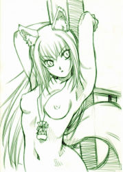 Rule 34 | 00s, 1girl, animal ears, breasts, hisahiko, holo, medium breasts, monochrome, nipples, nude, solo, spice and wolf, tail, wolf ears, wolf tail