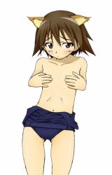 Rule 34 | 1girl, animal ears, breasts, brown hair, covering privates, covering breasts, cropped legs, looking at viewer, miyafuji yoshika, navel, school swimsuit, short hair, simple background, solo, standing, strike witches, swimsuit, undressing, white background, world witches series