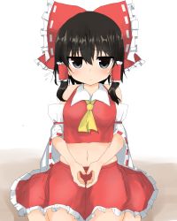 Rule 34 | 1girl, bad id, bad pixiv id, golgi hon, hair between eyes, hakurei reimu, sitting, solo, stomach, tagme, touhou