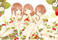 Rule 34 | 3girls, :d, :o, ahira yuzu, blue eyes, blush, brown hair, flower, food, fruit, highres, leaf, long hair, looking at viewer, multiple girls, open mouth, original, parted lips, plant, see-through, short hair, simple background, sitting, smile, strawberry, twintails, very long hair, white background