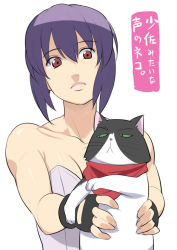 Rule 34 | 00s, 1girl, bare shoulders, cat, fingerless gloves, ghost in the shell, ghost in the shell stand alone complex, gloves, kusanagi motoko, lips, nora higuma, nyamsas, nyan koi!, purple hair, scarf, short hair, simple background, tanaka atsuko, translated, voice actor connection, white background