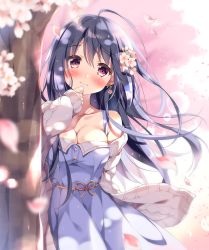 Rule 34 | 1girl, bare shoulders, black hair, blue dress, blurry, blurry foreground, blush, breasts, cardigan, cherry blossoms, cleavage, closed mouth, collarbone, commentary request, depth of field, dress, earrings, flower, hair between eyes, hair flower, hair ornament, hand up, head tilt, jewelry, long hair, long sleeves, looking at viewer, medium breasts, open cardigan, open clothes, original, pan (mimi), petals, pink flower, purple eyes, sleeves past wrists, smile, solo, standing, strapless, strapless dress, tree, very long hair, white cardigan