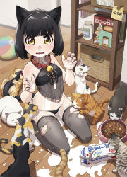 Rule 34 | 1girl, animal ears, bad id, bad pixiv id, bare shoulders, bell, black hair, black panties, blush, bob cut, bowl, cat, cat ears, cat tail, claws, collar, fang, fingernails, food, food on face, len (a-7), long fingernails, looking at viewer, milk, navel, neck bell, open mouth, original, panties, pet bowl, short hair, sitting, solo, spill, string panties, tail, tears, thighhighs, too many, too many cats, torn clothes, torn thighhighs, underwear, wariza, wavy eyes, wavy mouth, yellow eyes