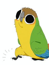 Rule 34 | animal focus, beak, bird, black eyes, commentary, english commentary, flat color, highres, looking at viewer, no humans, notice lines, original, parrot, simple background, solo, white background, yogin