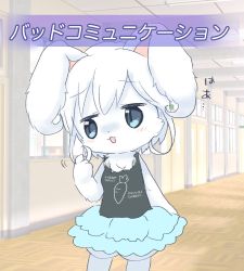 Rule 34 | blue eyes, rabbit, furry, japanese text, open mouth, text focus, translation request, wataboshi, white hair