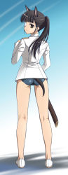 Rule 34 | 1girl, animal ears, ass, black hair, brown eyes, cameltoe, eyepatch, from behind, highres, kneepits, kuroda akimi, legs, long hair, looking back, military, military uniform, no pants, no socks, one-piece swimsuit, ponytail, sakamoto mio, school swimsuit, sheath, shoes, solo, standing, strike witches, swimsuit, swimsuit under clothes, sword, tail, trefoil, uniform, weapon, world witches series