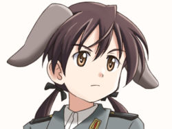 Rule 34 | 1girl, animal ears, brown eyes, brown hair, close-up, gertrud barkhorn, lielos, military, military uniform, short hair, solo, strike witches, twintails, uniform, world witches series