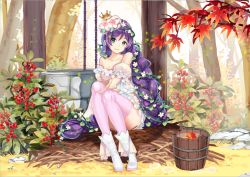 Rule 34 | 10s, 1girl, boots, braid, bucket, crown, day, detached sleeves, duzie e, flower, green eyes, hair flower, hair ornament, leaf, long hair, looking at viewer, love live!, love live! school idol festival, love live! school idol project, outdoors, pink thighhighs, purple hair, sitting, smile, solo, thighhighs, tojo nozomi, very long hair, well, white footwear, zettai ryouiki