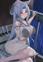 Rule 34 | 1girl, alternate costume, animal ear fluff, animal ears, arm under breasts, black bra, black panties, blush, bra, breasts, cleavage, commentary request, commission, dress, fox ears, fox girl, grey hair, hair ribbon, highres, large breasts, long hair, looking at viewer, messy hair, nose blush, panties, parted lips, pink eyes, pink ribbon, ponytail, ribbon, see-through, skeb commission, solo, touhoku itako, underwear, very long hair, voiceroid, wet, wet clothes, yappen
