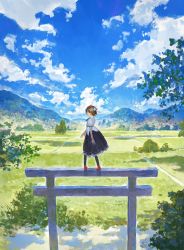 Rule 34 | 1girl, black legwear, black ribbon, black skirt, blush, brown hair, cloud, cloudy sky, commentary request, fjsmu, grasslands, hat, highres, looking at viewer, looking back, mountainous horizon, nature, neck ribbon, no lineart, pom pom (clothes), puffy short sleeves, puffy sleeves, red eyes, red footwear, red hat, reflection, ribbon, scenery, shameimaru aya, shirt, shoes, short hair, short sleeves, skirt, sky, solo, tokin hat, torii, touhou, tree, water, white shirt